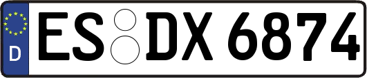 ES-DX6874