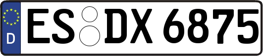 ES-DX6875