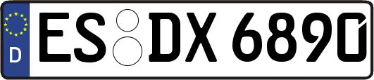 ES-DX6890