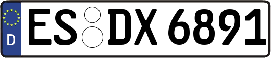 ES-DX6891
