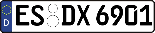 ES-DX6901