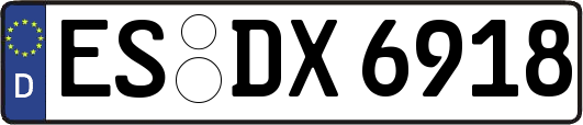 ES-DX6918