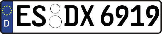 ES-DX6919