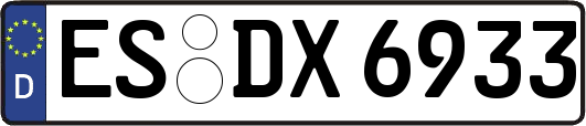ES-DX6933