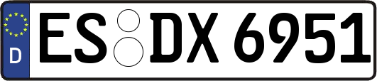 ES-DX6951