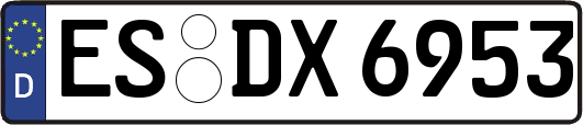 ES-DX6953