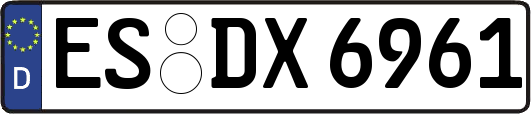 ES-DX6961
