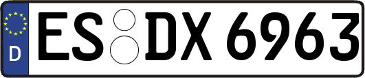 ES-DX6963