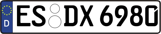 ES-DX6980