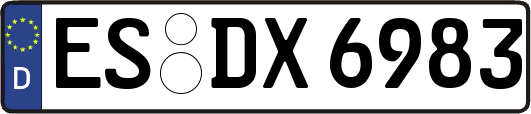ES-DX6983