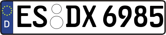 ES-DX6985