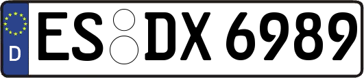 ES-DX6989