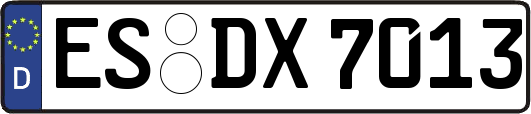 ES-DX7013