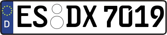 ES-DX7019