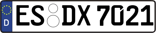 ES-DX7021