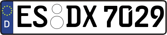 ES-DX7029