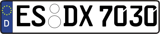 ES-DX7030