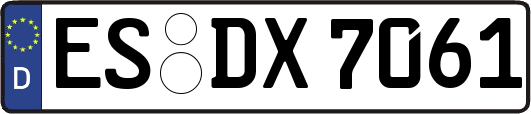 ES-DX7061