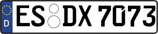 ES-DX7073