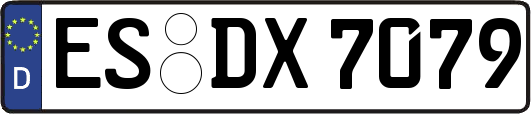 ES-DX7079