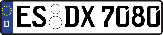 ES-DX7080