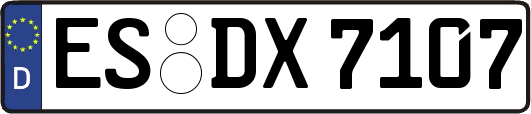 ES-DX7107