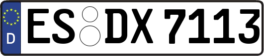 ES-DX7113