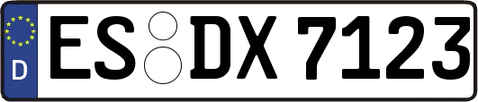 ES-DX7123