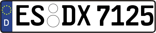 ES-DX7125