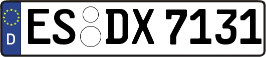 ES-DX7131