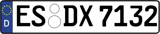 ES-DX7132