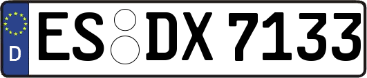 ES-DX7133