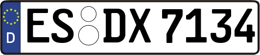 ES-DX7134