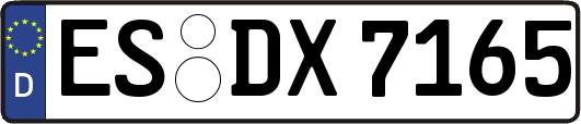 ES-DX7165