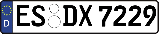 ES-DX7229