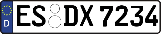 ES-DX7234