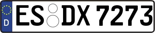 ES-DX7273
