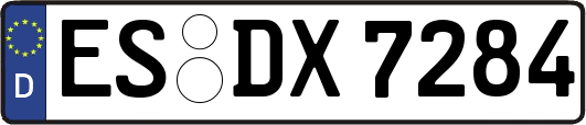 ES-DX7284