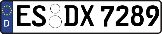 ES-DX7289