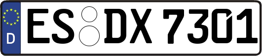 ES-DX7301
