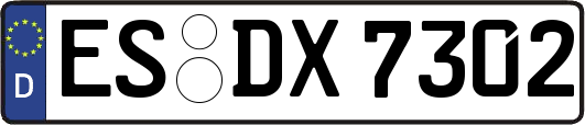 ES-DX7302