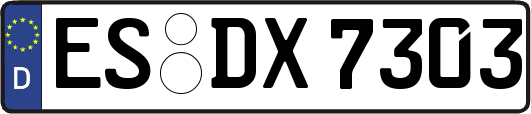 ES-DX7303