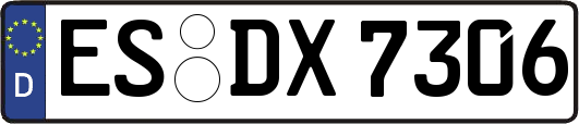 ES-DX7306