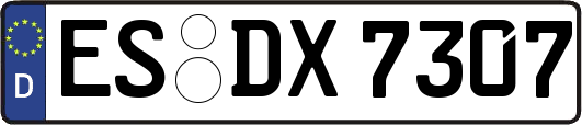 ES-DX7307
