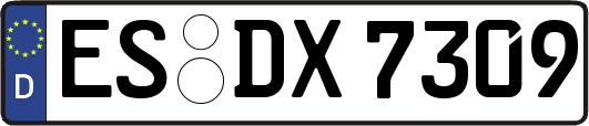 ES-DX7309