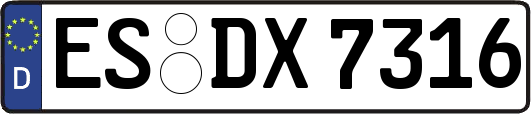 ES-DX7316