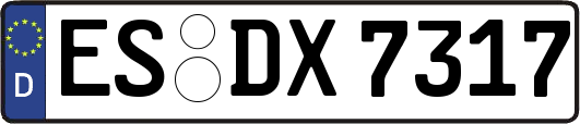 ES-DX7317