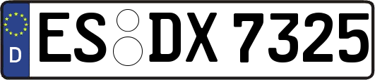 ES-DX7325