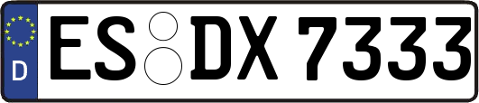 ES-DX7333