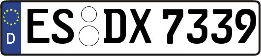 ES-DX7339